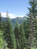 View in Mount Rainier National Park.