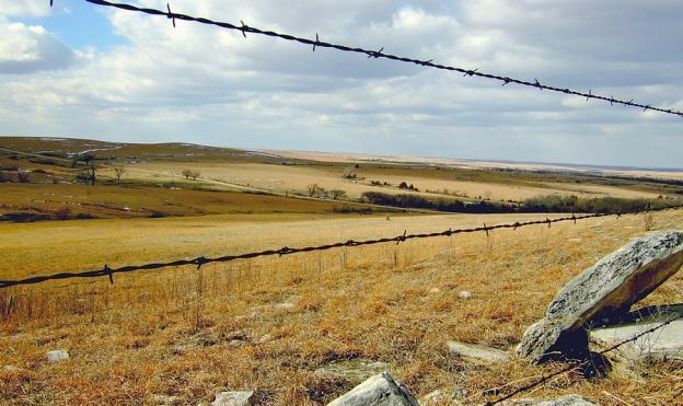 Barbed-wire Perspective