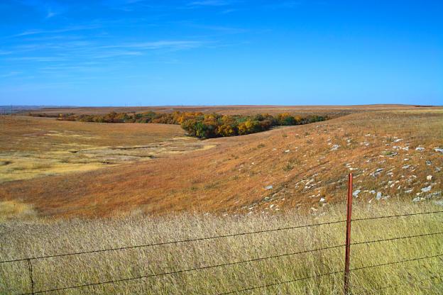 Autumn in the Distance