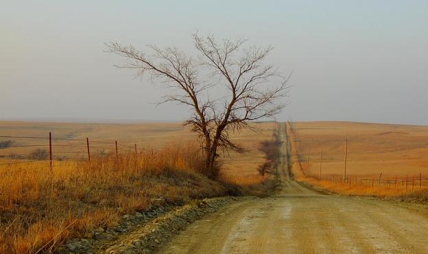 Misty Road