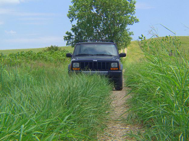 Tallgrass Pathway