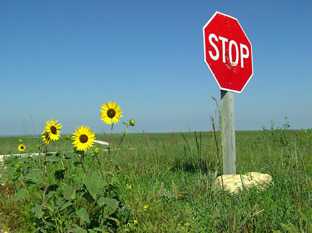 Sunflower Stop