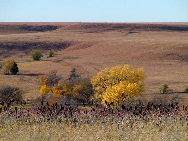 Autunm in the Flint Hills