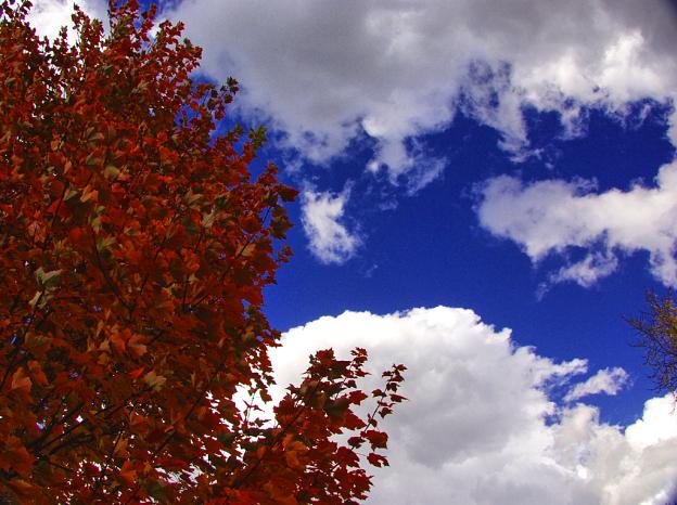 Autumn Clouds