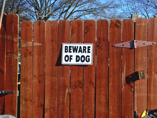 Beware of Dog