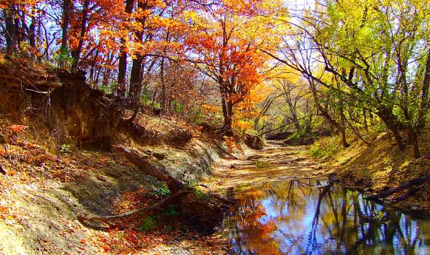 Autumn Creek
