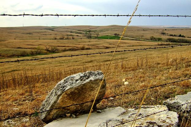 Barbed Wire Perspective