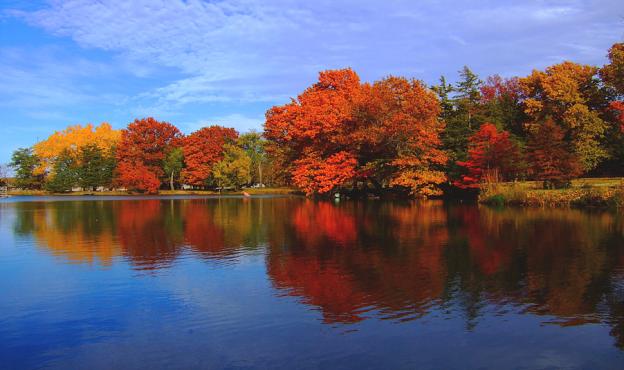 Autumn Pond
